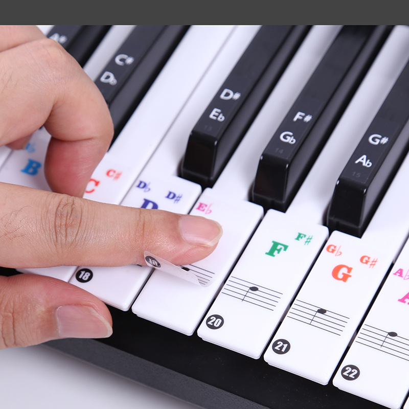 Transparent Piano Keyboard Sti - Keyboard Piano 61 Key avis et prix