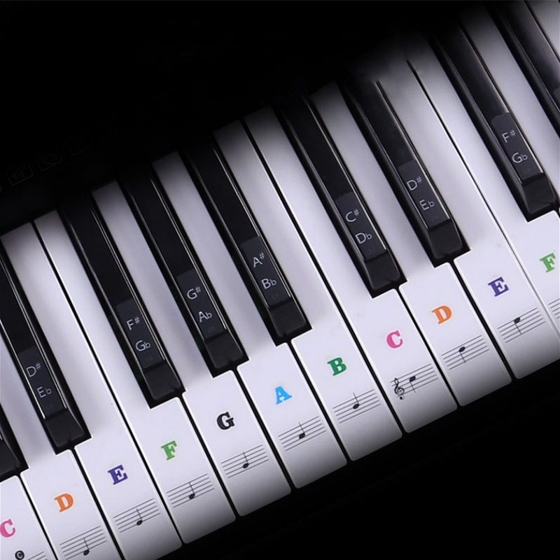Transparent Piano Keyboard Sti - Keyboard Piano 61 Key avis et prix