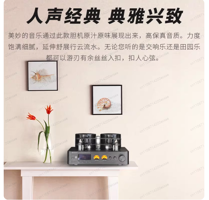 220V 400W * 2 High Fidelity Wi - Audio Youtube Music Free avis et prix