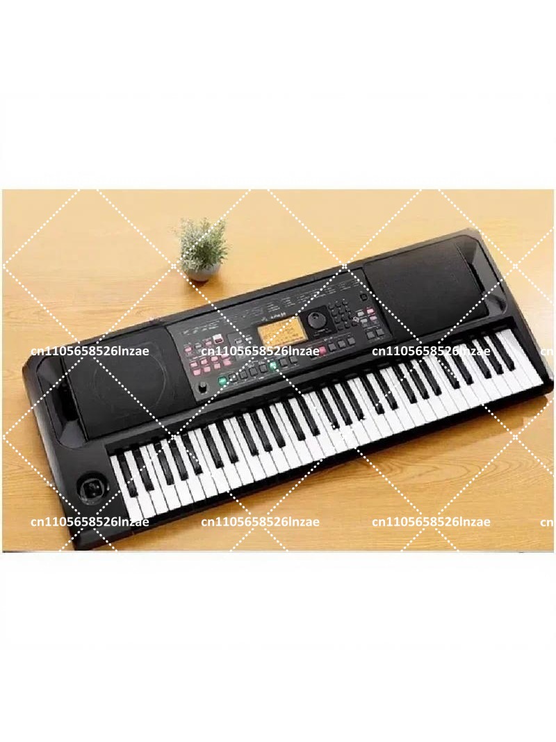 Professional Arranger Keyboard - Keyboard Piano 61 Key avis et prix