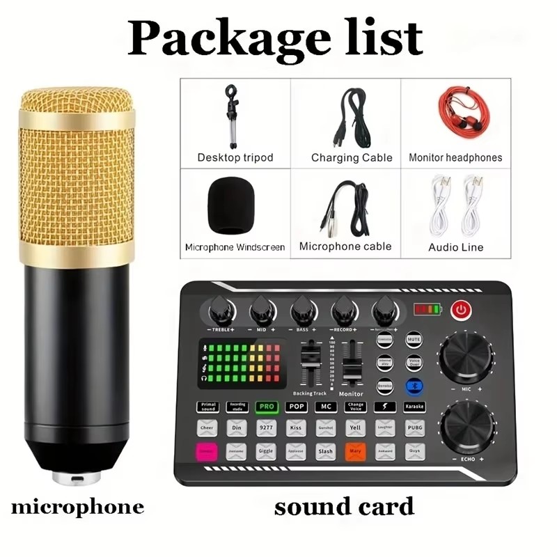 Condenser Microphone Professio - Audio Music Voice Changer avis et prix